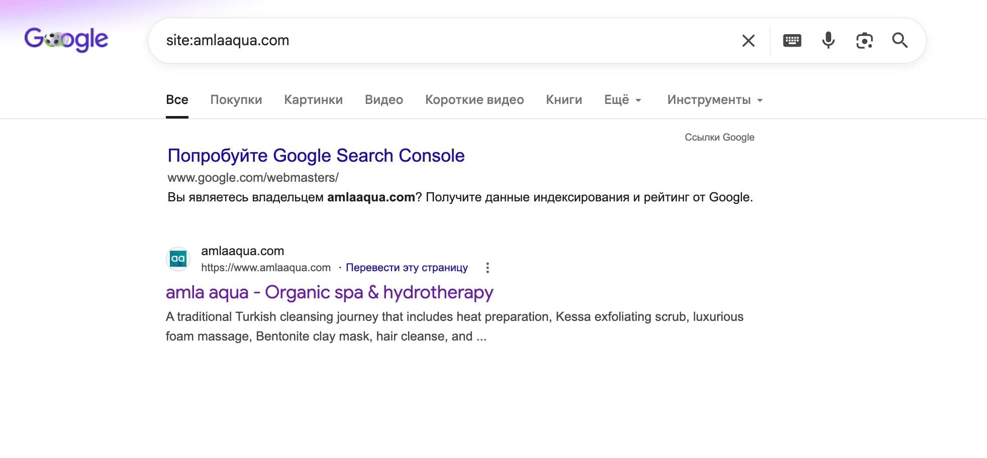 Результат site:amlaaqua.com — только 1 страница из 5 в индексе Google
