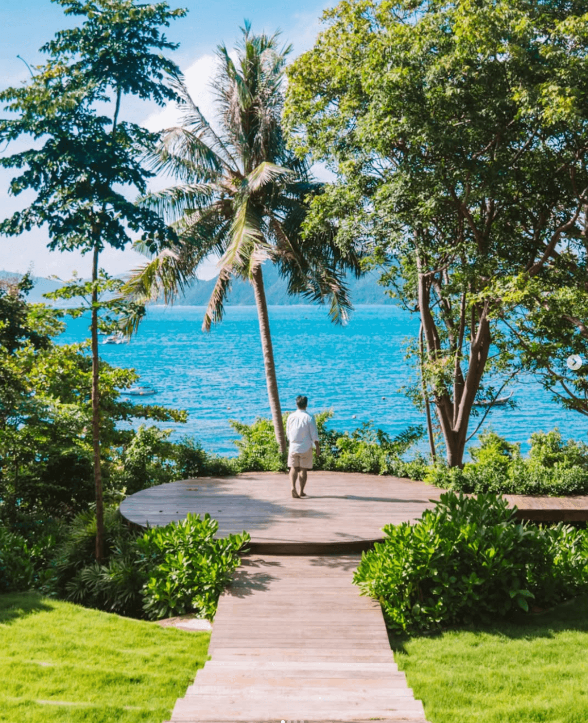 Jungle viewpoint deck